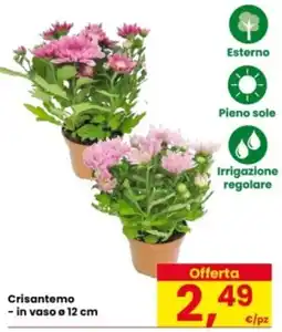 Eurospar Crisantemo offerta