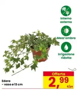 Eurospar Edera offerta