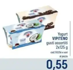 Talento Professional Store Yogurt VIPITENO offerta