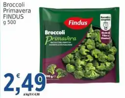 Market Ingross Broccoli Primavera Findus offerta