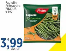 Market Ingross Fagiolini Primavera Findus offerta