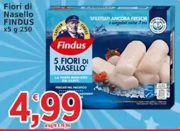 Market Ingross Fiori di Nasello Findus offerta