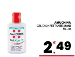 Despar Sicilia Amuchina gel disinfettante mani offerta