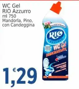 Market Ingross WC Gel RIO Azzurro offerta