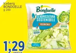 Market Ingross Iceberg Bonduelle offerta