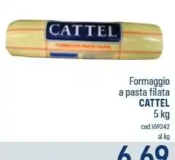 Talento Professional Store Formaggio a pasta filata Cattel offerta