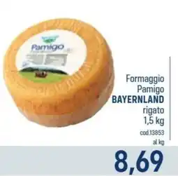Talento Professional Store Formaggio Pamigo Bayernland offerta