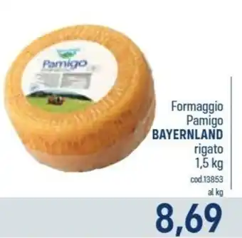 Talento Professional Store Formaggio Pamigo Bayernland offerta