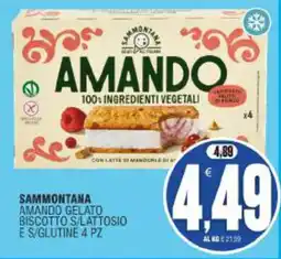 Vicino a te supermercati Sammontana amando gelato biscotto s/lattosio e s/glutine offerta