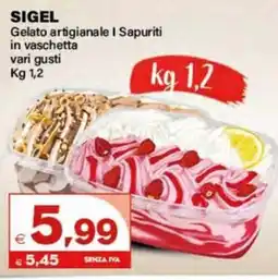 Boningros Cash and Carry Sigel Gelato artigianale I Sapuriti in vaschetta offerta