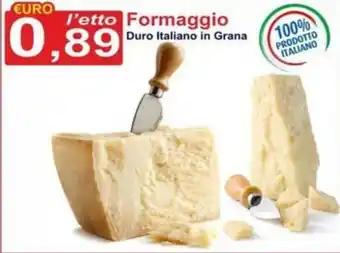 Formaggio Duro Italiano in Grana
