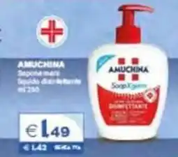 Boningros Cash and Carry Amuchina Sapone mani liquido disinfettante offerta