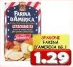 MercADone Spadoni farina d'america offerta