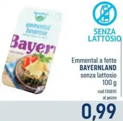 Talento Professional Store Emmental a fette Bayernland senza lattosio offerta