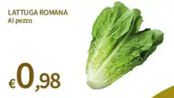 Lattuga romana
