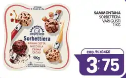Eurocash Sammontana Sorbettiera offerta