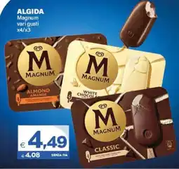 Boningros Cash and Carry Algida Magnum offerta