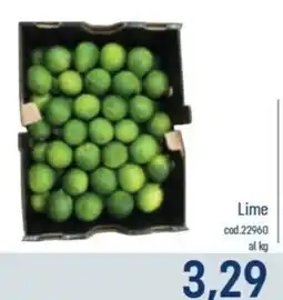 Talento Professional Store Lime offerta