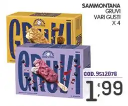 Eurocash Sammontana Gruvi offerta