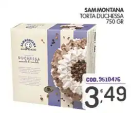 Eurocash Sammontana torta duchessa offerta