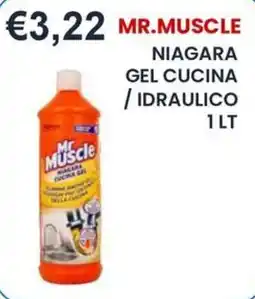 Caramico Mr Muscle Niagara Gel Cucina / Idraulico offerta