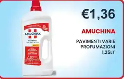 Caramico Amuchina pavimenti varie profumazioni offerta