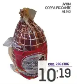 Eurocash Coppa piccante Jvon offerta