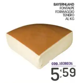 Eurocash Bayernland Fontalpe Formaggio Tenero offerta