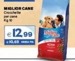 Boningros Cash and Carry Miglior Cane Crocchette per cane offerta