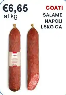 Caramico Coati salame napoli offerta