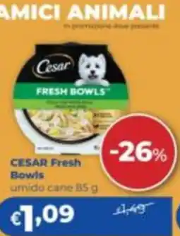 Acqua & Sapone Cesar Fresh Bowls offerta