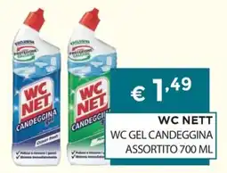 DB detersivi WC Nett WC Gel Candeggina offerta