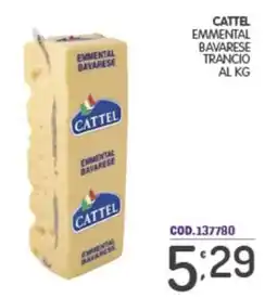Eurocash Cattel Emmenthal Bavarese offerta
