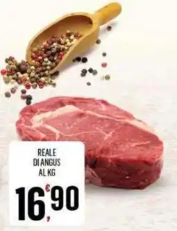 Vibian Reale di Angus offerta