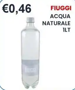 Caramico Acqua naturale Fiuggi offerta