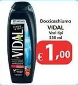 Bernava Docciaschiuma Vidal offerta