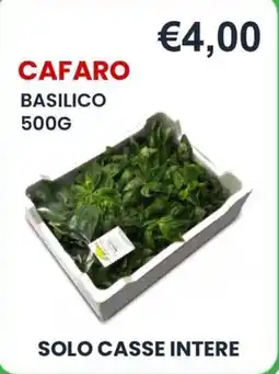 Caramico Cafaro basilico offerta