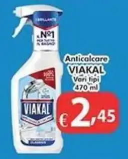 Bernava Anticalcare Viakal offerta