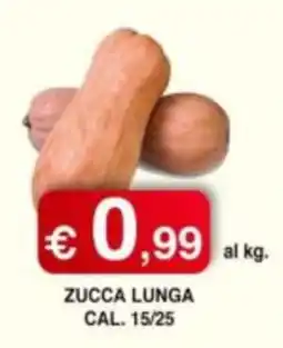 Orsini Market Zucca lunga offerta