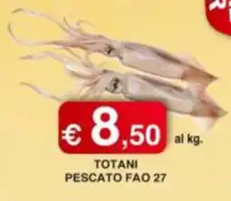 Orsini Market Totani offerta