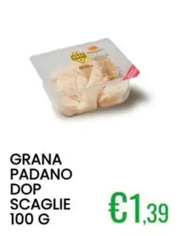 Sugros Grana Padano DOP Scaglie offerta