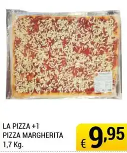 Samia Cash and Carry Pizza Margherita offerta
