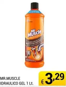 Samia Cash and Carry Mr.Muscle idraulico gel offerta