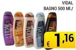 Samia Cash and Carry Vidal bagno offerta