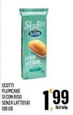 Vibian Scotti plumcake si con riso senza lattosio offerta
