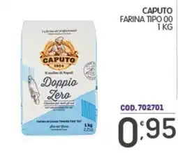 Eurocash Caputo farina tipo 00 doppio zero offerta