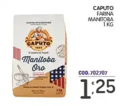 Eurocash Caputo Manitoba Oro offerta