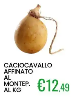 Sugros Caciocavallo Affinato al Montep. offerta