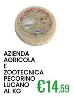Sugros Pecorino Lucano offerta