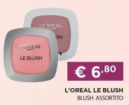DB detersivi L'oreal le blush offerta